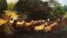 Obo081