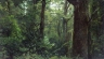Obo095a