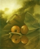 Leib070