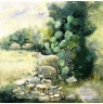 Orna079