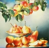 Avet004