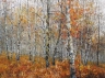 Trees 001